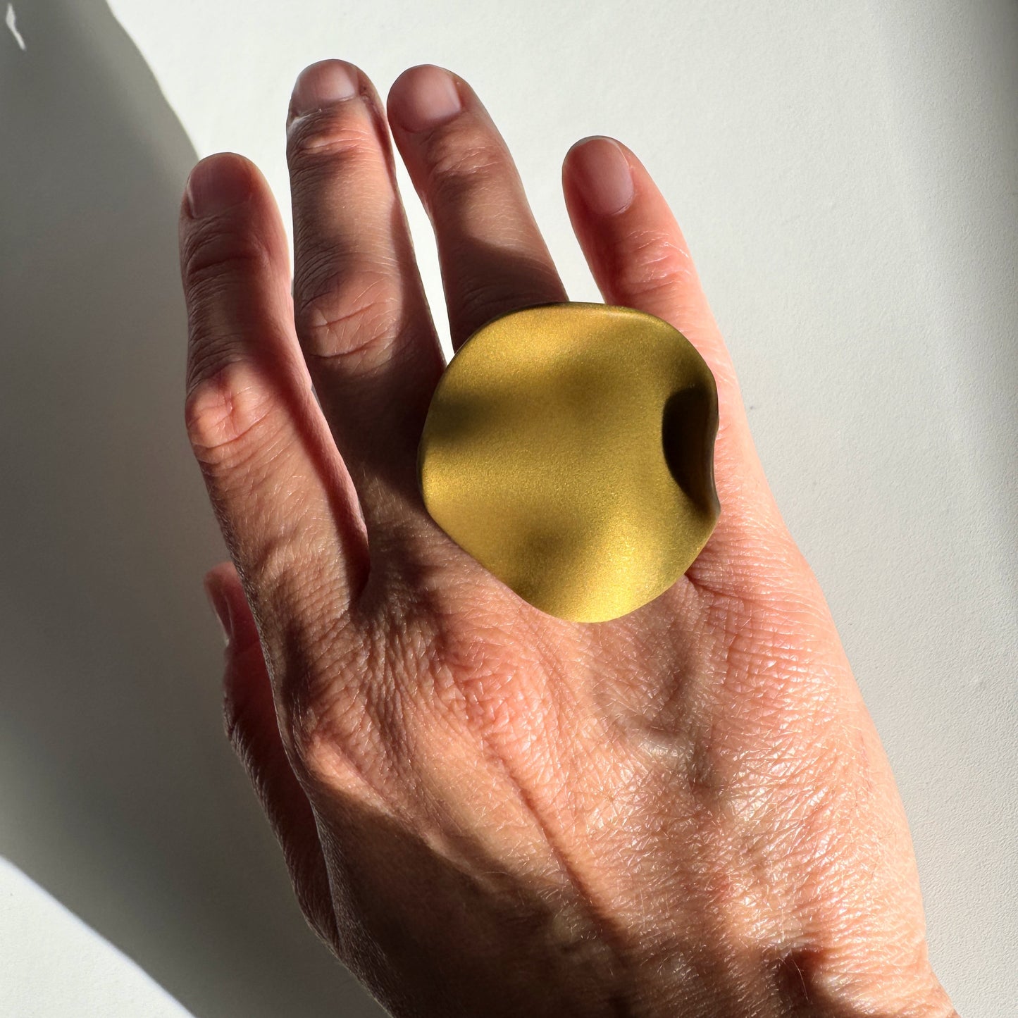 Anillo Rizo S