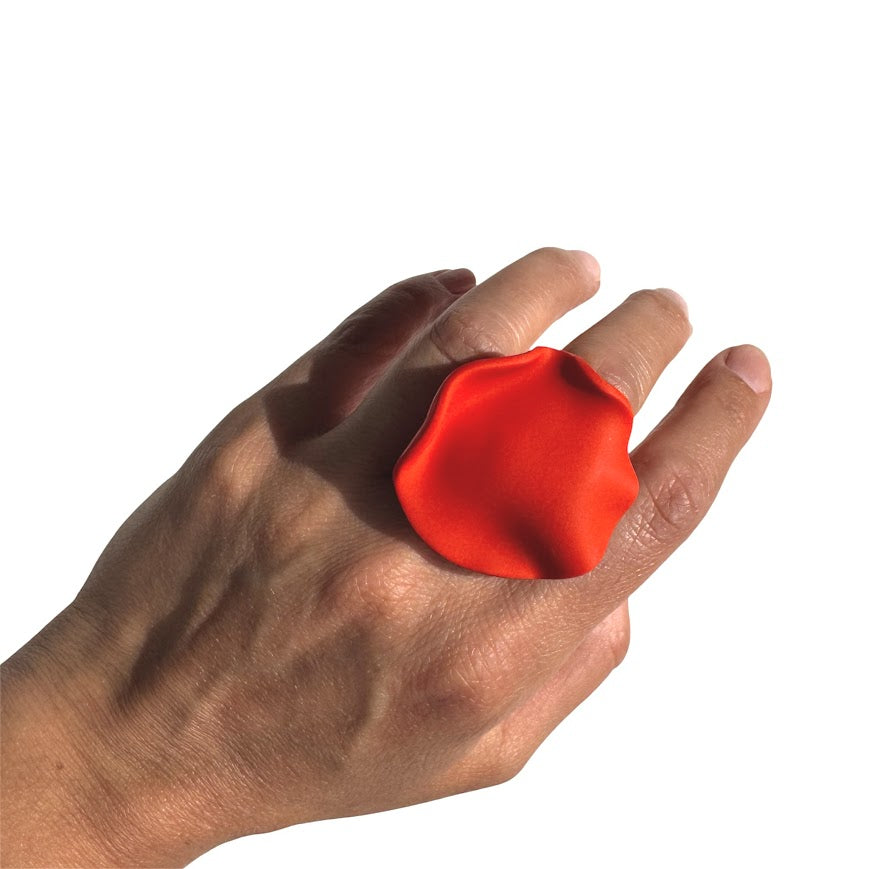 Anillo Rizo S P/V26